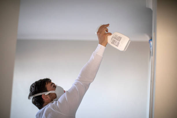 Best Mold Damage Repair  in Horn Lake, MS