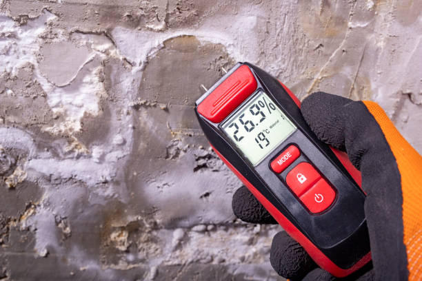Best Office Mold Removal Services  in Horn Lake, MS