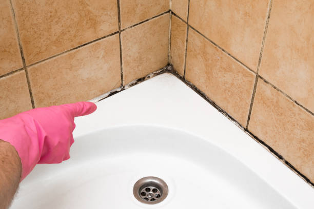 Best Mold Cleaning Services  in Horn Lake, MS